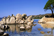 懂球帝能下载赛事直播吗？怎么操作？